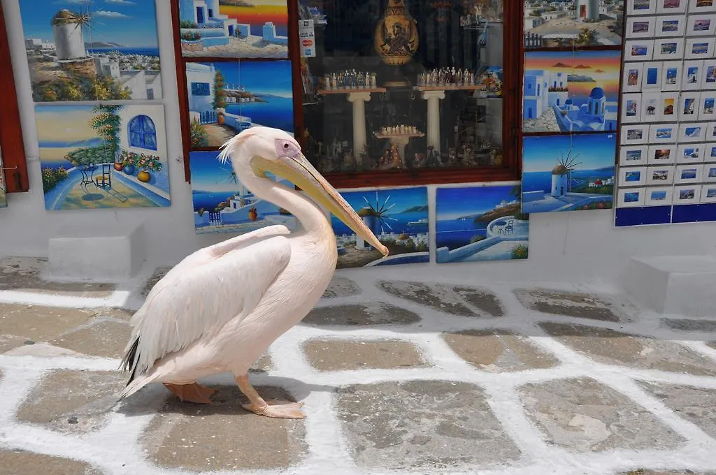 Апартаменты Bleland Mykonos Mykonos Town